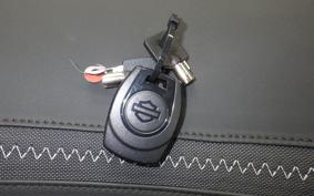 HARLEY FLHX1920 2025