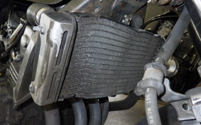 HONDA HORNET 250 MC31