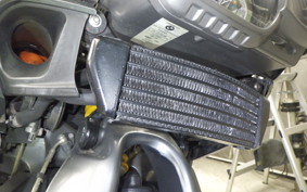 BMW K1300R 2009