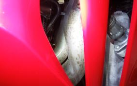 HONDA CBR1000RR RSP 2021 SC82