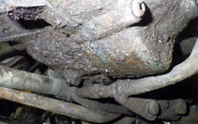 OTHER +YAMAGUCHI ｵｰﾄﾍﾟｯﾄ C