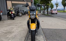 HONDA ZOOMER-X JF52
