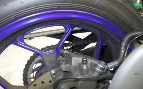 YAMAHA YZF R-3 2024 RH21J