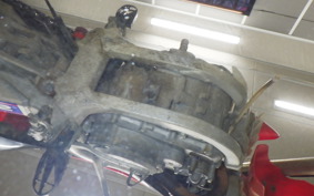 HONDA CRF250 RALLY 2024 ME10