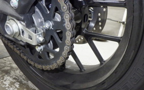 DUCATI SCRAMBLER ICON 2024