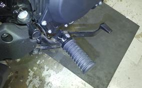 KAWASAKI ELIMINATOR400-3SE 2024 EL400A