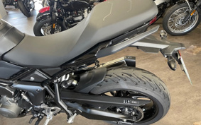 TRIUMPH TIGER SPORT 800 2025 L25P19