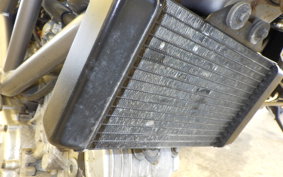 HONDA VTR 250 MC33