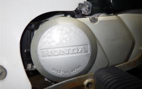 HONDA C50 SUPER CUB 2021 C50