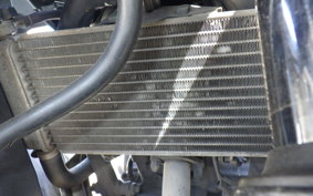 HONDA CBR250R GEN 3 MC41