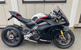 DUCATI PANIGA-REV4SP 2021 1D00