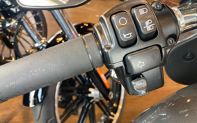 HARLEY FLSB 2021 YMJ