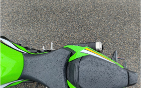 KAWASAKI NINJA ZX-6R 2025 ZX636J