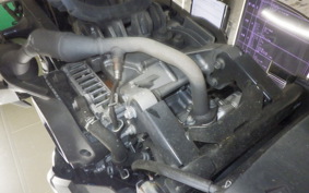 YAMAHA CYGNUSｸﾞﾘﾌｧｽ SEJ4J