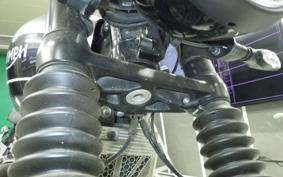 TRIUMPH SPEED TWIN 2020