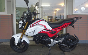 HONDA GROM JC75