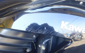 KAWASAKI ZZ1400 NINJA R 2007 ZXT40A