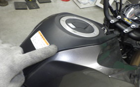 KAWASAKI Z125 PRO 2004 BR125H