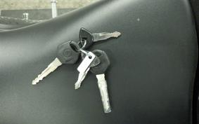 YAMAHA YZF-R25 A RG74J