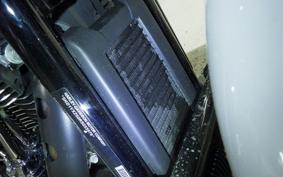 HARLEY FXLRST1920 2024