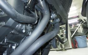 HONDA REBEL 1100 DCT 2024 SC83