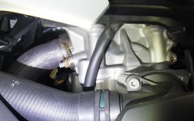 BMW S1000RR M DDC 2024