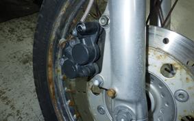 HONDA REBEL 250 2000 MC13