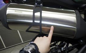 BENELLI TRK502X 2026