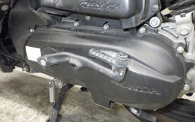 HONDA ZOOMER-X JF52