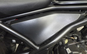 HONDA REBEL 250 A 2024 MC49