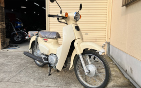 HONDA SUPER CUB50