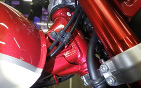 HONDA MONKEY 125 2024 JB02