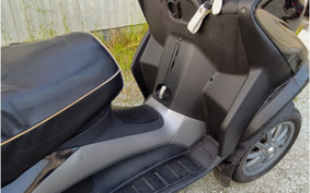 PIAGGIO MP3 250 RL ZAPM47201