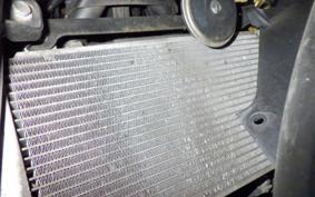 KAWASAKI NINJA 250 ABS EX250L