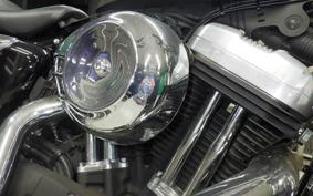 HARLEY XL1200X 2019