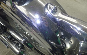 KAWASAKI W800 2022 EJ800E