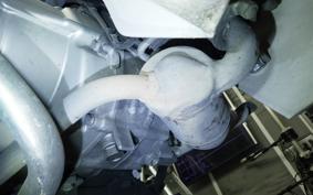 HONDA C50 SUPER CUB 2007 AA04