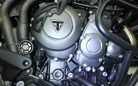 TRIUMPH TIGER 800 2019