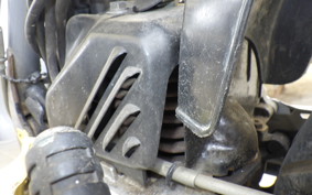 YAMAHA PASSOL 2T4