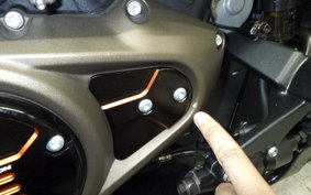 HARLEY RH1250S 2023