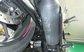 OTHER +ENFIELD HUNTER350 2024