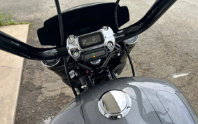 HARLEY FXBRS 2022 YHK