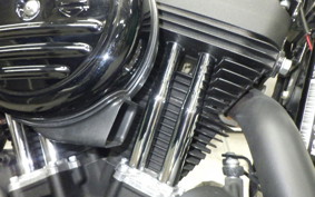 HARLEY XL1200NS 2018