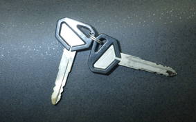 KAWASAKI KLX250D TRACKER LX250E