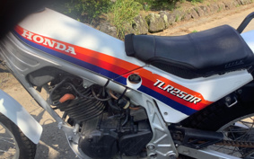 HONDA TLR250R MD18