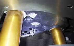 SUZUKI GSX-R1000R A 2021 DM11G