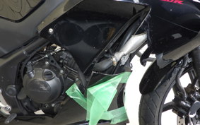 HONDA CBR250R GEN 3 MC41