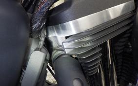HARLEY XL883N 2018
