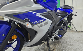 YAMAHA YZF-R25 RG10J