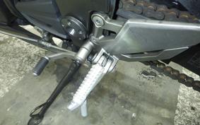 KAWASAKI NINJA 250 EX250L